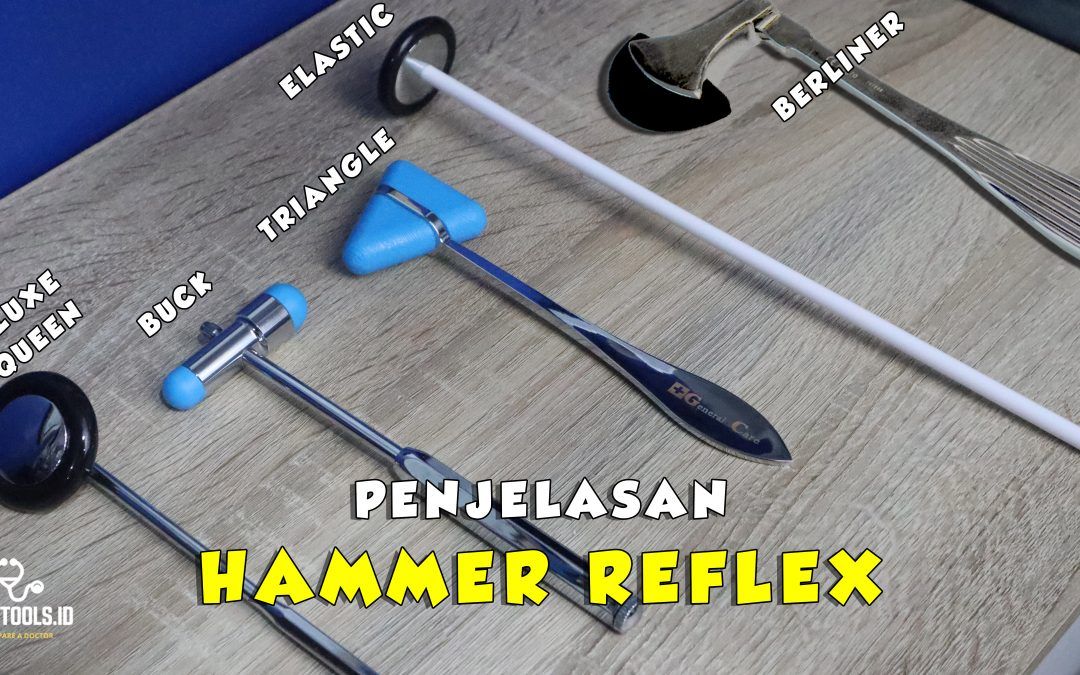 Fungsi Hammer Refleks! Ternyata beda-beda loh!