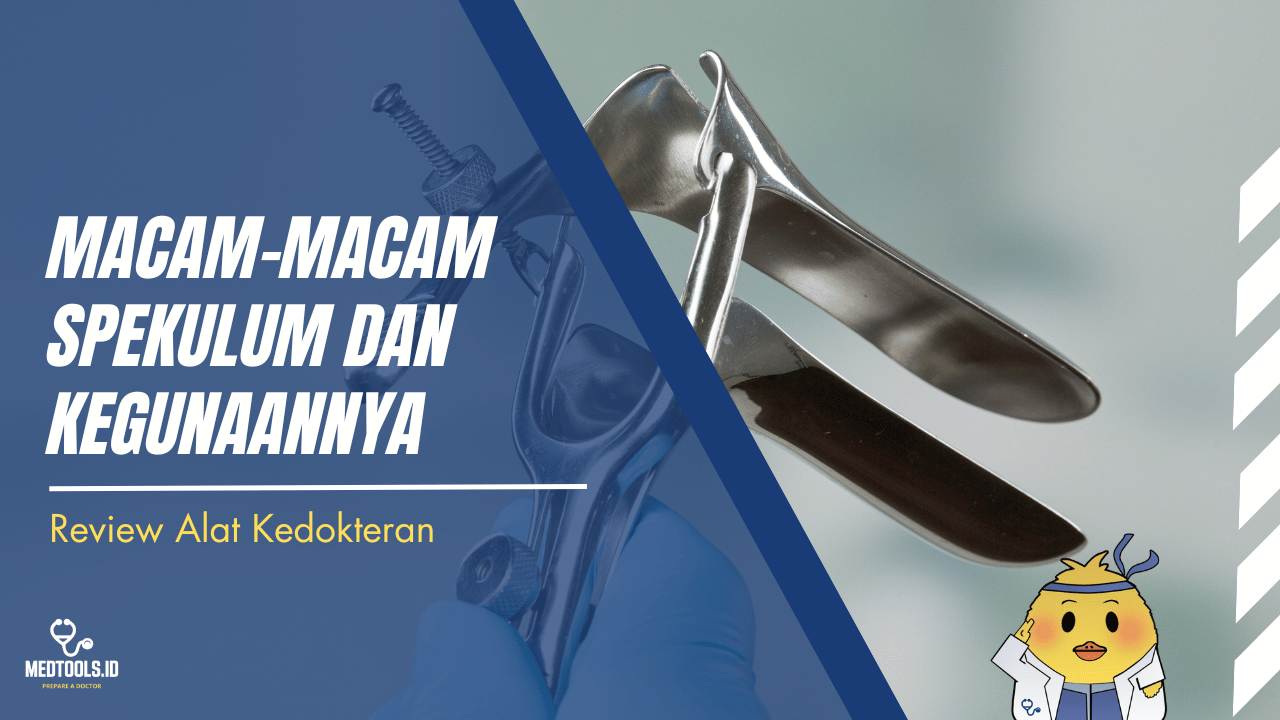 Cover Artikel Website (31)