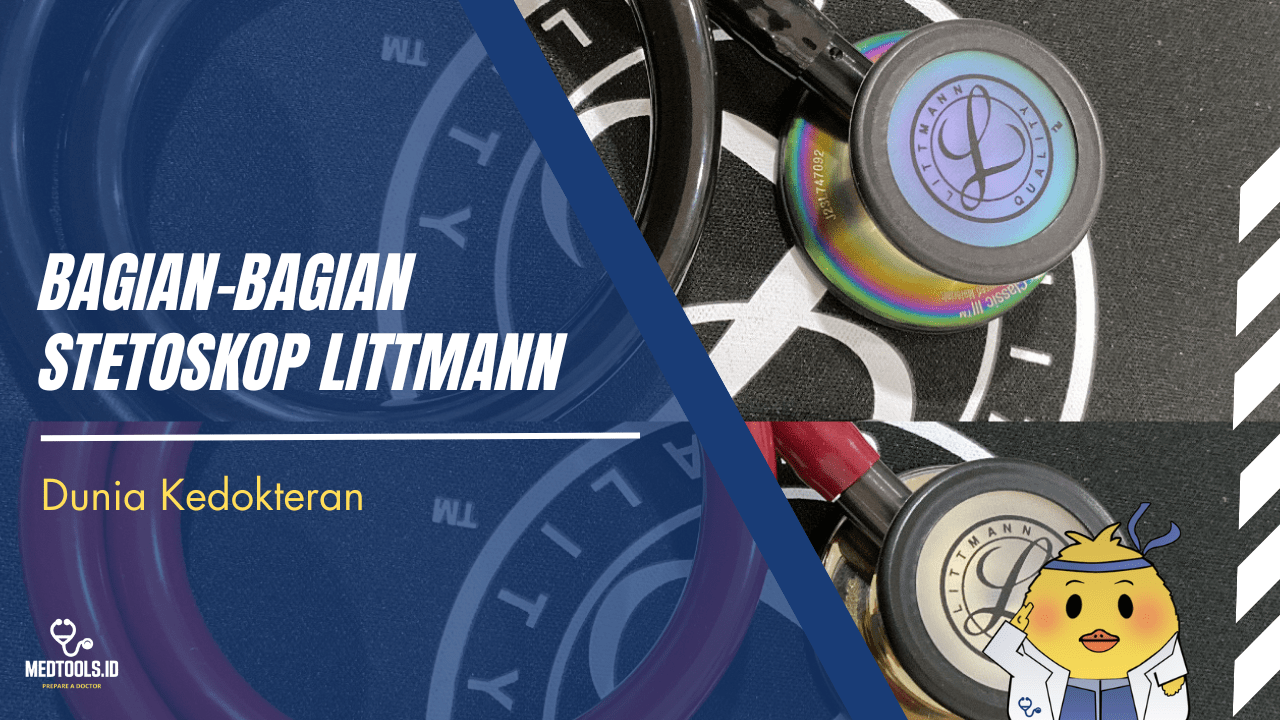 Cover Artikel Website (9)