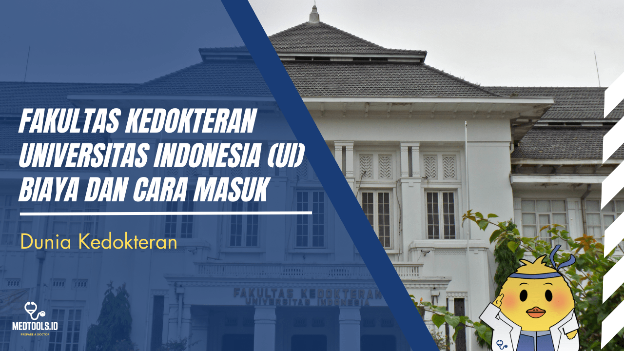 Cover Artikel Website (10)