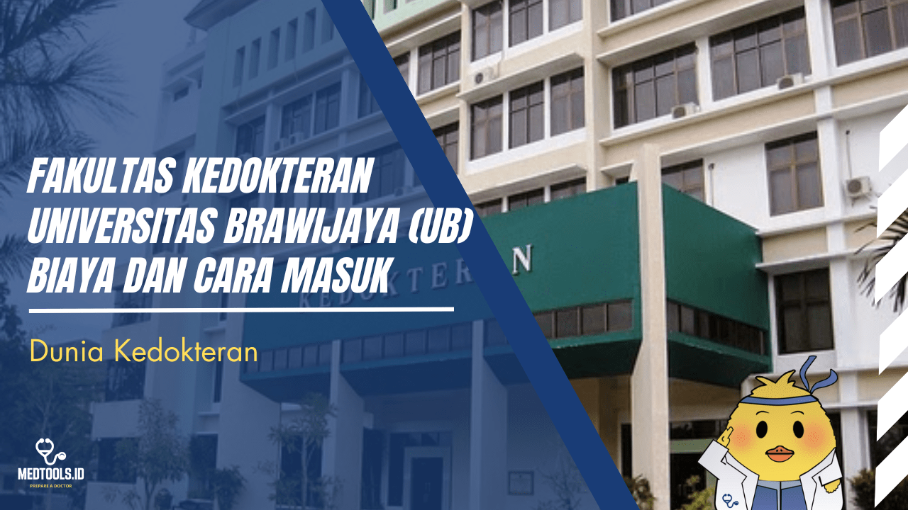 Cover Artikel Website (13)