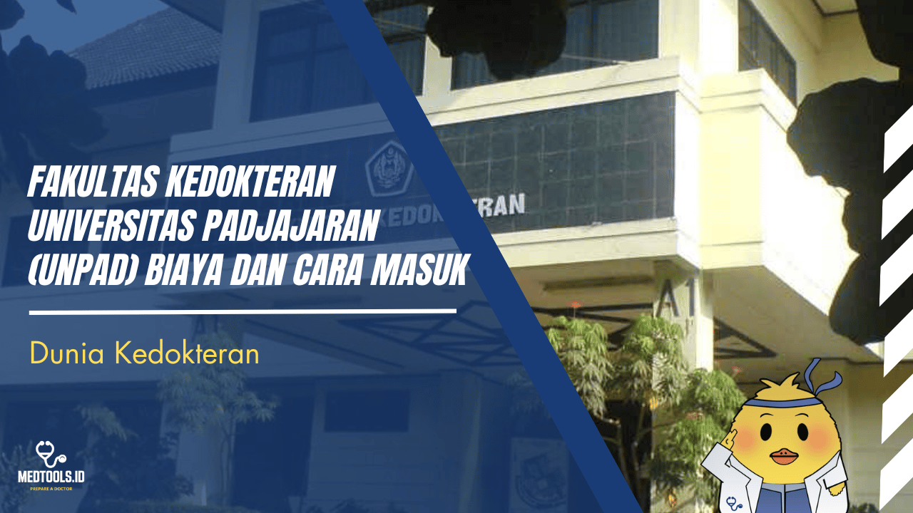 Cover Artikel Website (15)