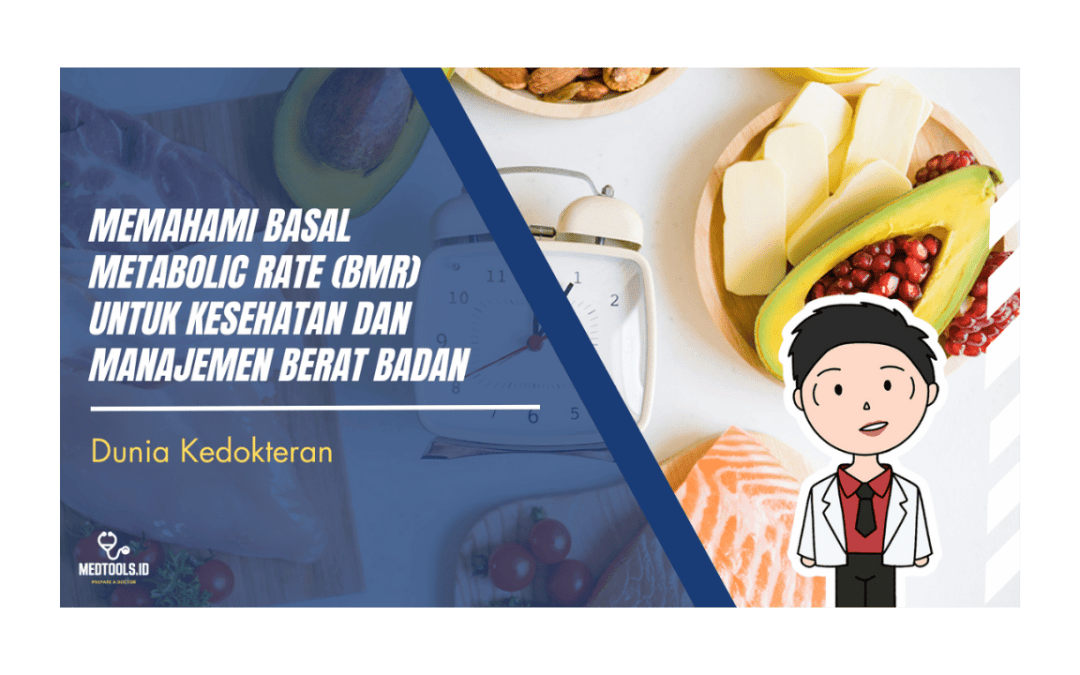 Memahami Basal Metabolic Rate (BMR) untuk Kesehatan dan Manajemen Berat Badan