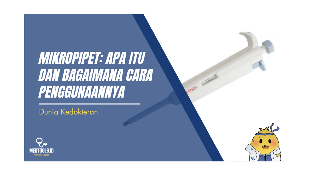 Cover Artikel Website (14)
