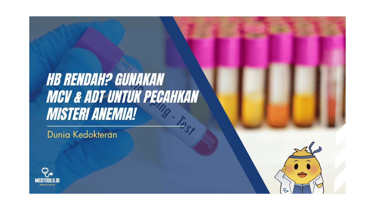 Cover Artikel Website (11)