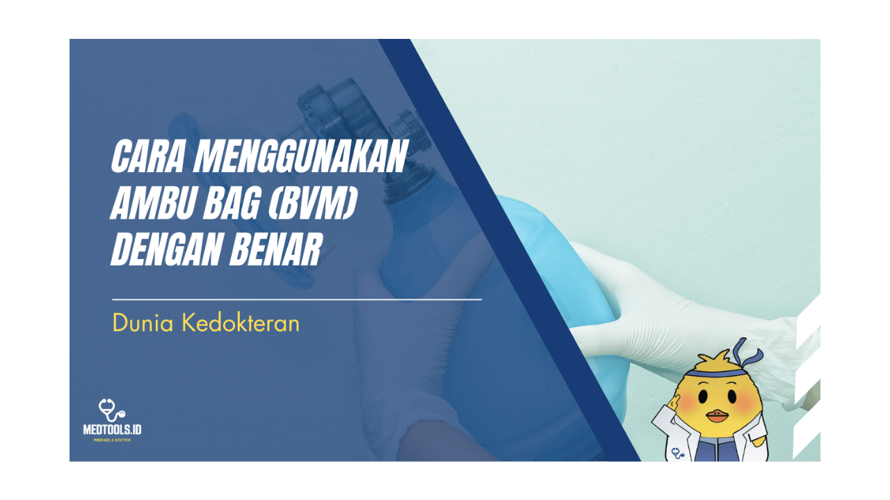 Cover Artikel Website (31)